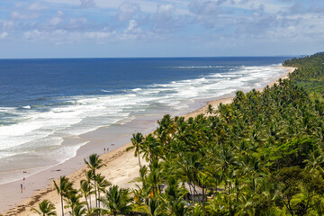 Trees and waves at Itacarezinho beach
