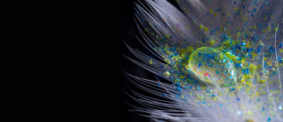 feather with rain drop and little glass glitters - beautiful macro photography