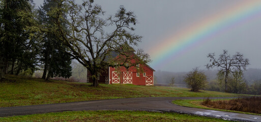A historic red barn with large oak tree and rainbow located on the finley Wildlife Refuge near Corvallis Oregon