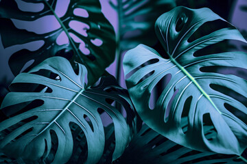 Monstera leaves under neon lighting, Generative AI