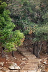 Steintreppe durch die Vegetation