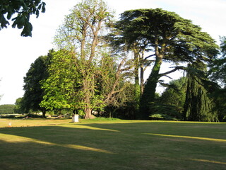 gardens with trees with amazing landscape