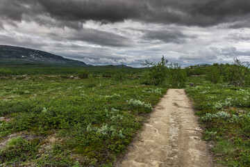Fototapeta na wymiar Treriksroset, the triple border between Finland, Sweden and Norway