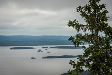Landscape of the lake region from the Ukko Koli mountain, Finland
