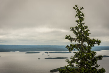 Landscape of the lake region from the Ukko Koli mountain, Finland