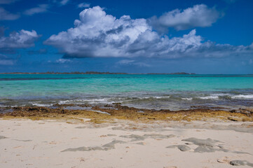 Fototapeta premium Tropical Caribbean Beach