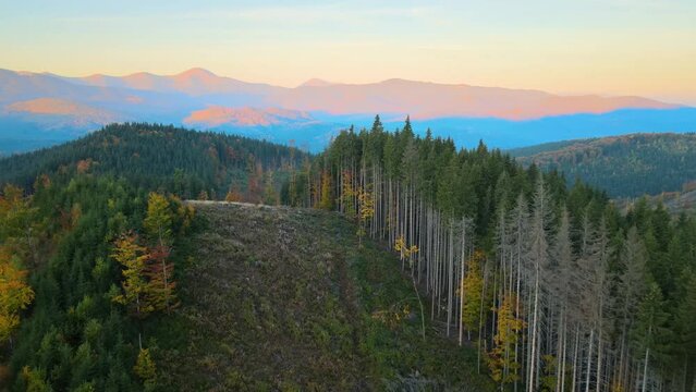 Top view of dark mountain hills covered with bare patches of cut down forest pine trees as result of deforestation process. Beautiful wild woodland at threat