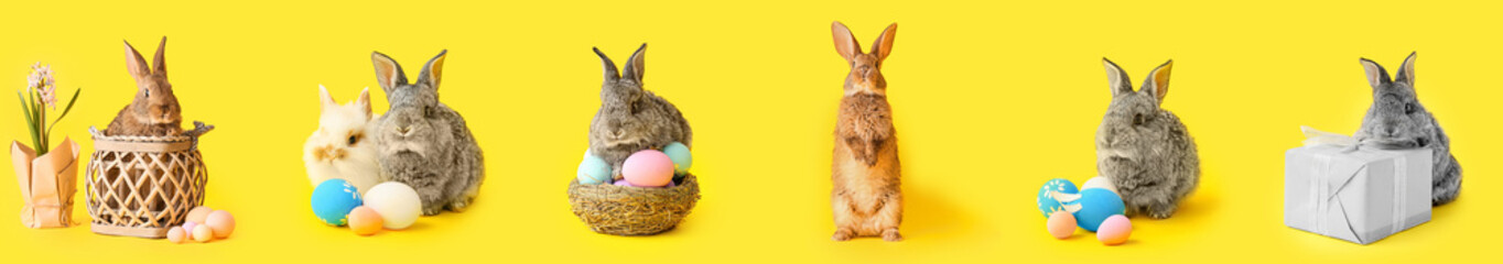 Collage of cute bunnies with Easter eggs and gift on yellow background