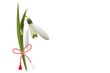 Märzchen das Frühlingsbringer Symbol und 
Geschenk zum 1. März,
Märzchen Anhänger mit Schneeglöckchen,
Vektor Illustration isoliert auf Hintergrund
