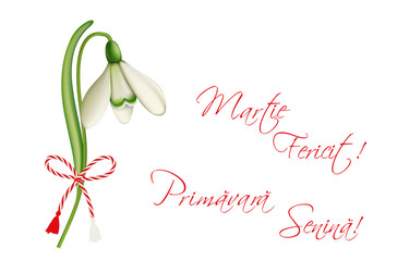 Märzchen das Frühlingsbringer Symbol und 
Geschenk zum 1. März,
Märzchen Anhänger mit Schneeglöckchen und Text in rumänisch mit Frühlingsgrüße,
Vektor Illustration isoliert auf Hintergrund
