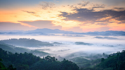 The sea of fog among the valleys and forests in the morning.