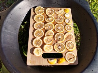 Fresh lemon slices