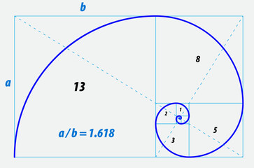 fibonacci ratio divine proportion isolated - 3d Illustration
