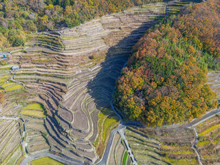 中山千枚田