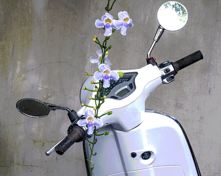 Illustration of white scooter with purple flowers hanging down