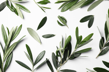 Olive twigs with fresh green leaves on white background, flat lay