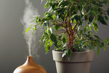 Air humidifier near houseplant against grey wall