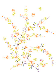 plum blossom illustration