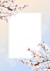 Spring wallpaper with cherry blossom flowers.