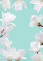Spring wallpaper with magnolia flowers.