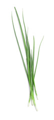 Fresh green spring onions on white background, top view