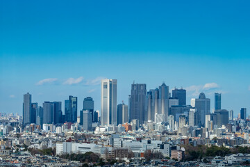 Fototapeta na wymiar 新宿の超高層ビル群（三軒茶屋から）