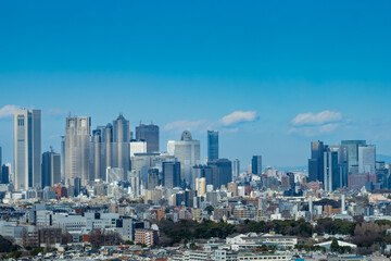 Fototapeta na wymiar 新宿の超高層ビル群（三軒茶屋から）