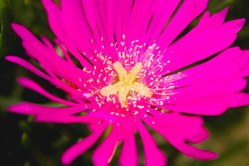 Marcha del Orgullo LGBT en Lima, Per&uacute;, 2022