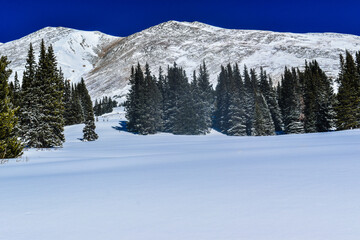 snow covered mountains