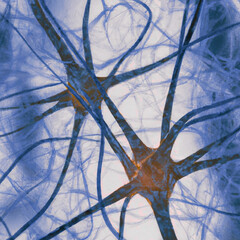 Illustration of Neurons in Brain.