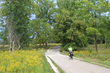 Man riding a bicycle alone on the North Branch Trail in late summer with goldenrod flowers on both sides in a field at Miami Woods in Morton Grove, Illinois
