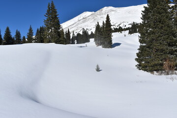 Snow-covered mountain peaks
