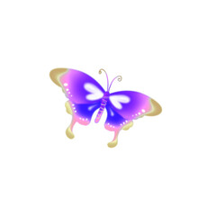 Fototapeta na wymiar Beautiful gradual color purple and yellow butterfly