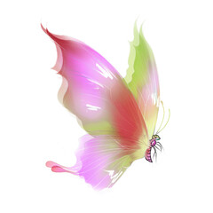 Fototapeta na wymiar Beautiful Gradual Colorful Butterfly
