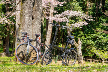 春のサイクリング