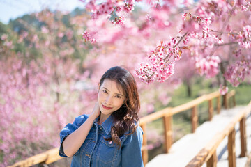 Woman with cherry blossoms or sakura flower blooming in the park