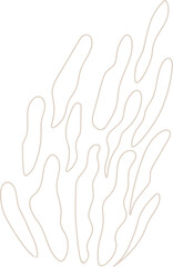 Aesthetic Abstract Shape