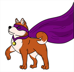 Dog shiba inu superhero in red cape and mask. Isolate on a white background.