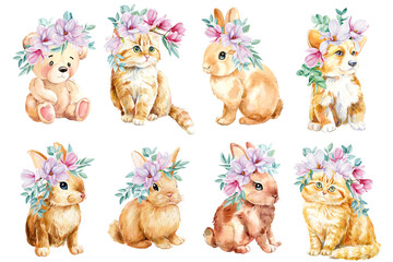Puppy, teddy, kitten with magnolia flowers and eucalyptus , baby animal on isolated background. Watercolor illustration