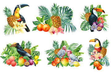 Toucan, fruits and palm leaves on an isolated white background. Watercolor hand drawn botanical illustration. 