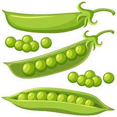 Isolated green peas cartoon