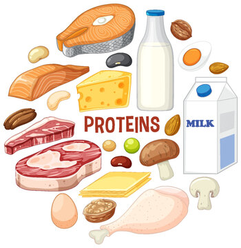 Variety of protein foods with text