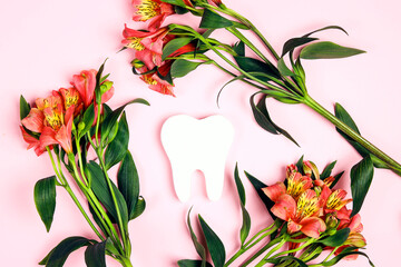 White tooth with alstroemeria flowers on a pink background.