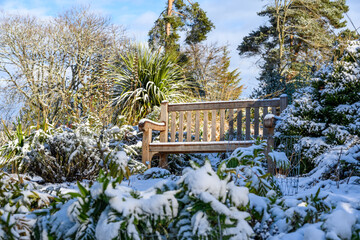 Peaceful snowy sunny winter day, wood bench seat for resting in a diverse garden
