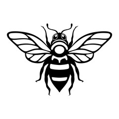 Insect with wings. Vector drawing of a bee