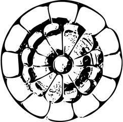 black and white circle