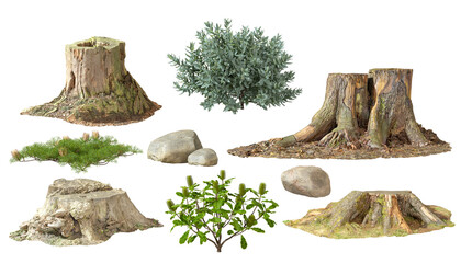 Forest nature collection set stub rock plants cutout backgrounds 3d rendering png - obrazy, fototapety, plakaty