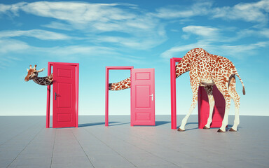 Giraffe enters a door and comes out of another. Opportunities and curiosity concept. - obrazy, fototapety, plakaty
