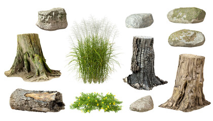 Cutout forest montage pack collection set stump wood shrubs rocks 3d rendering png