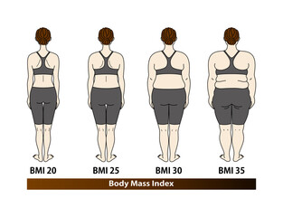 BMI指数別の体型変化 女性の後ろ姿 ダイエットのビフォーアフター イラスト ベクター